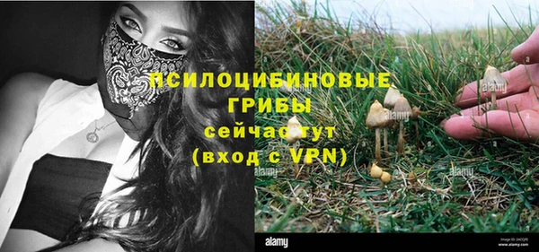 гашик Остров